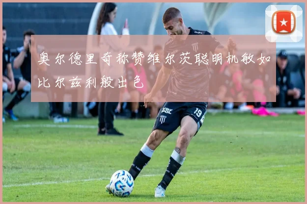 奥尔德里奇称赞维尔茨聪明机敏如比尔兹利般出色