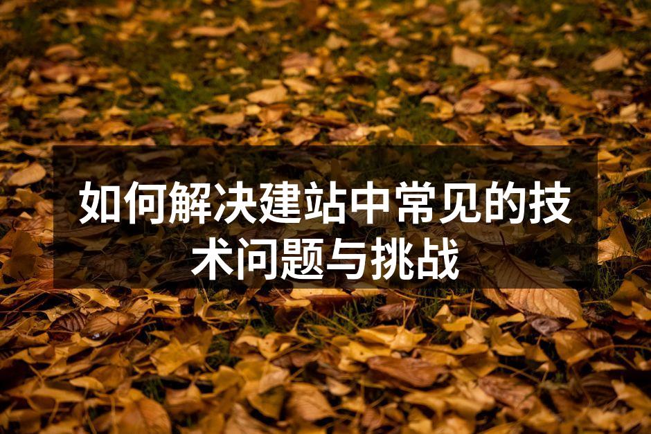 如何解决建站中常见的技术问题与挑战