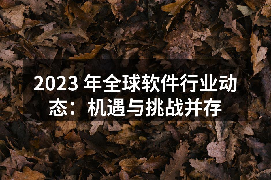2023 年全球软件行业动态：机遇与挑战并存